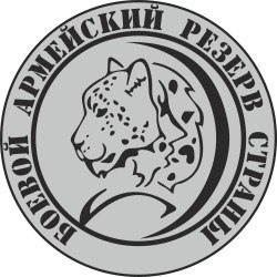 Логотип «БАРС» — Боевой армейский резерв страны